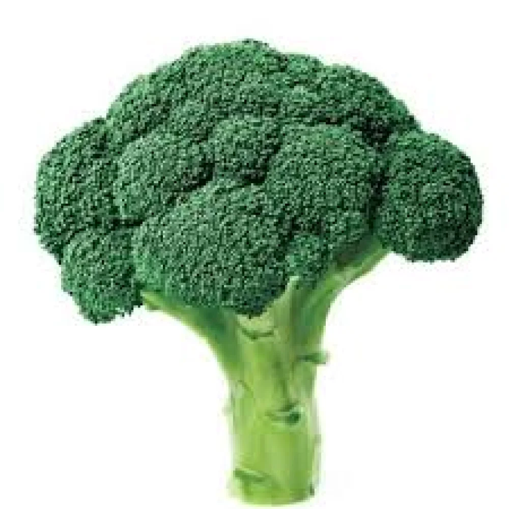 BROCOLI POR UND